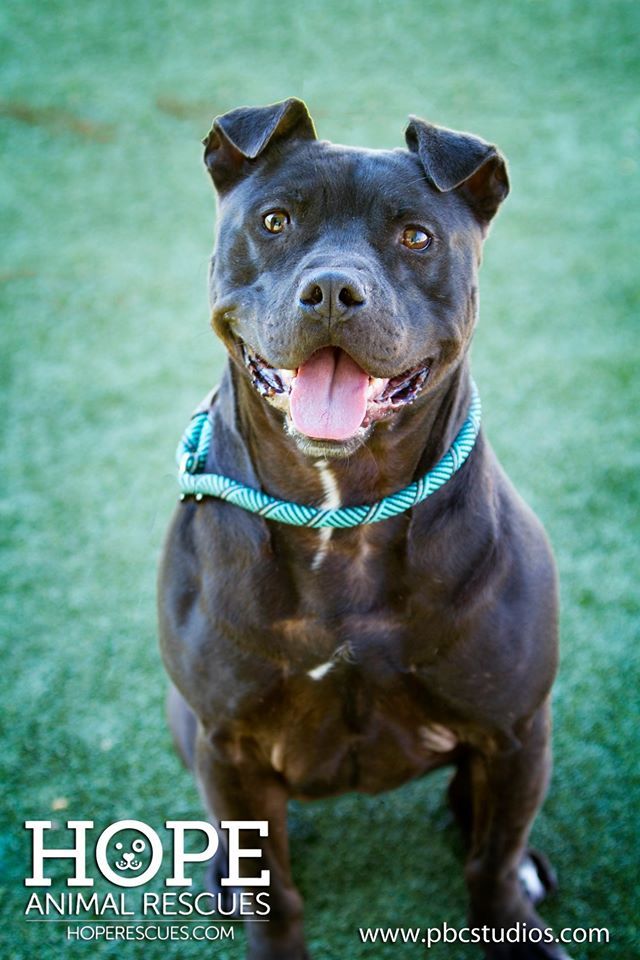 Jax photo 5
