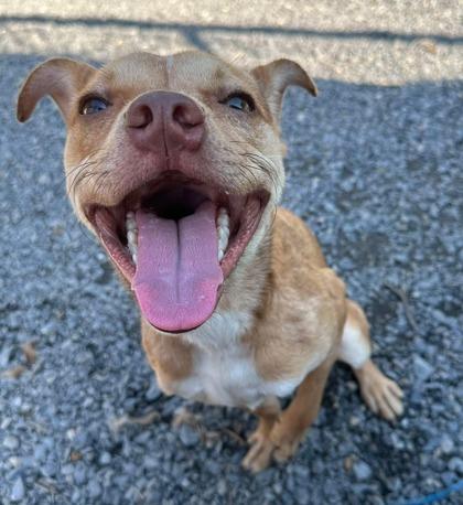 Emilio — thumbnail 3