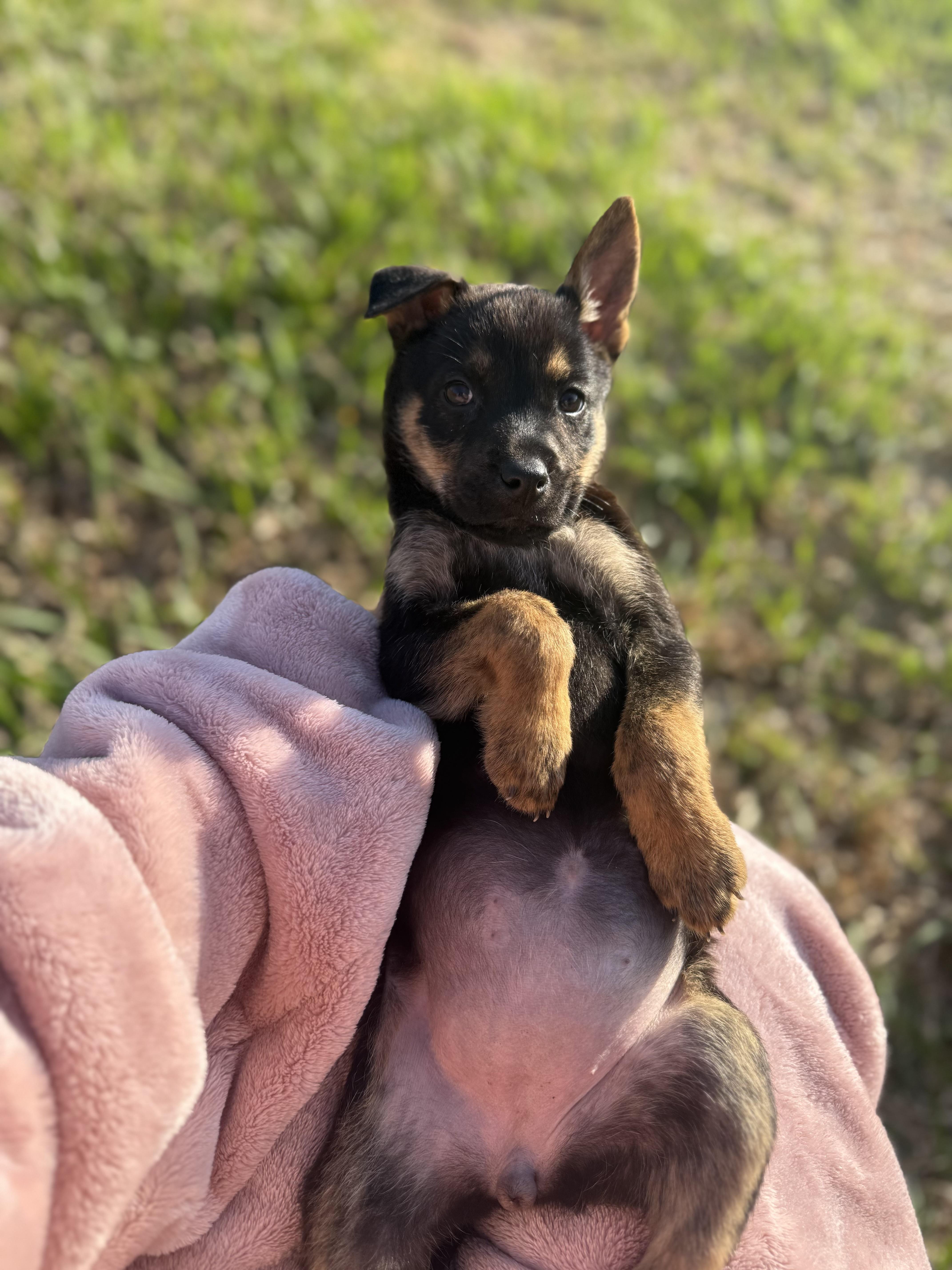 Serene Galaxy — thumbnail 4