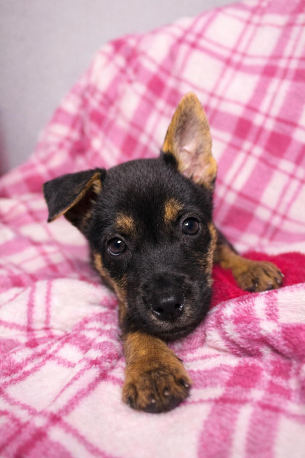 Serene Galaxy — thumbnail 5