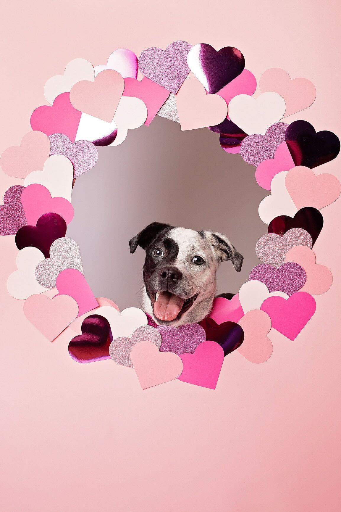 Gigi — thumbnail 5