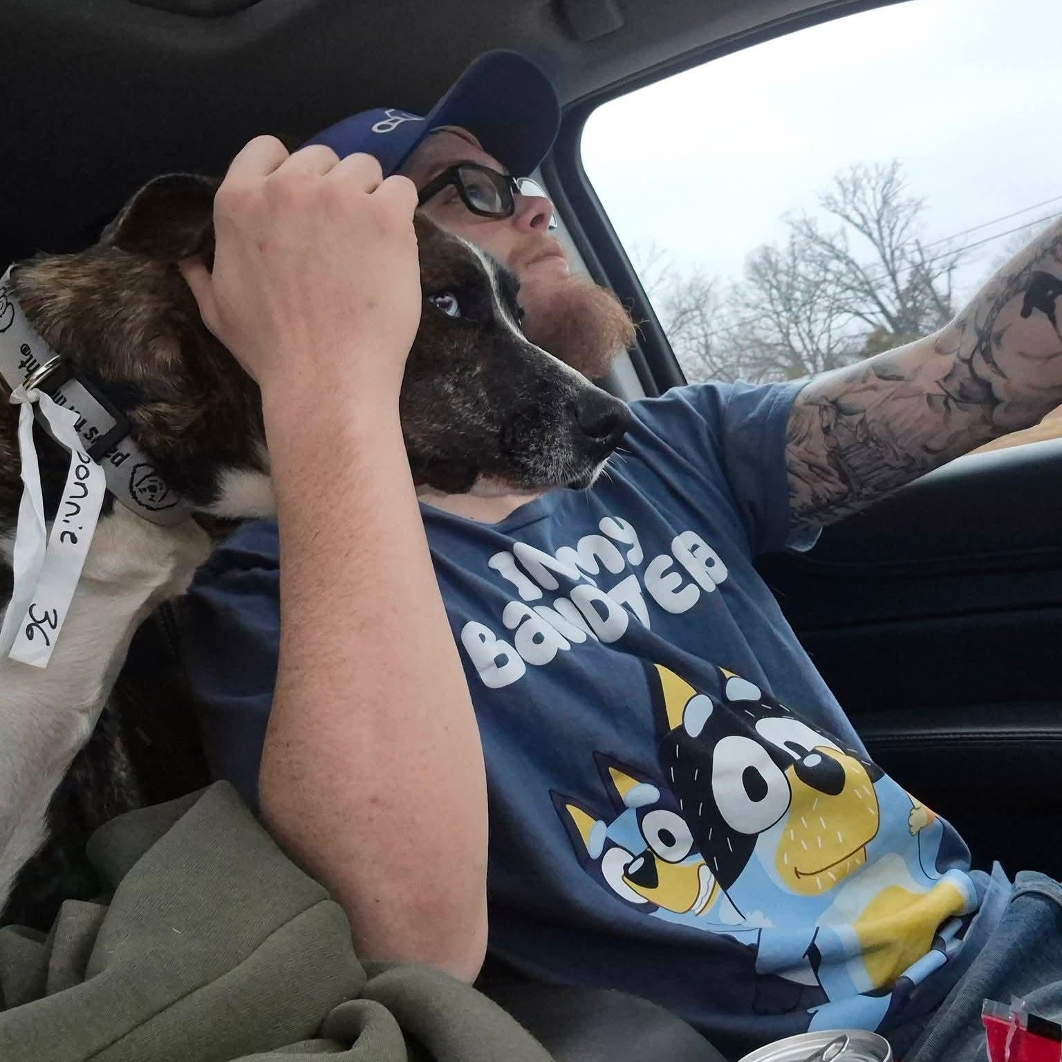 Enlarge Bonnie , a ADOPTABLE mixed breed in Plainfield, IL image 2/4