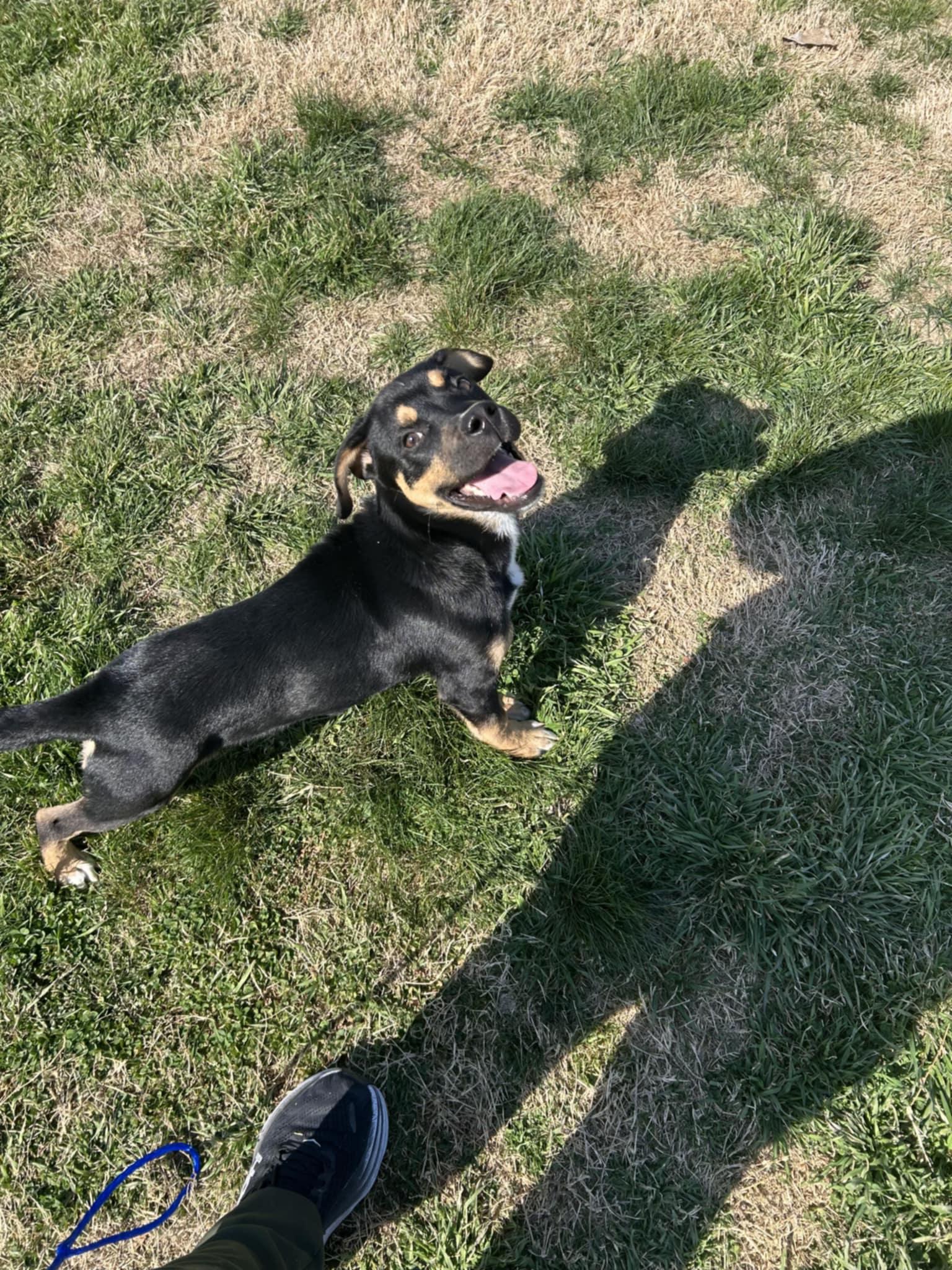 Barkley