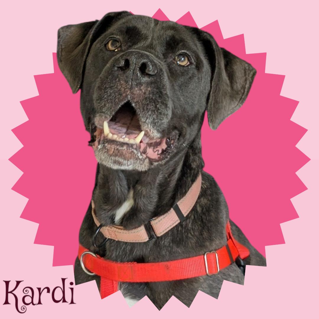 Kardi