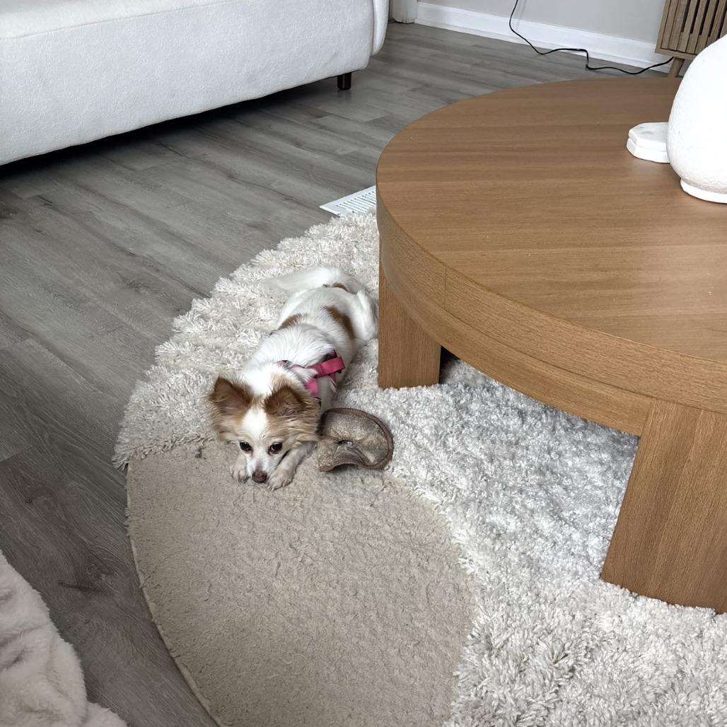 Rini — thumbnail 3