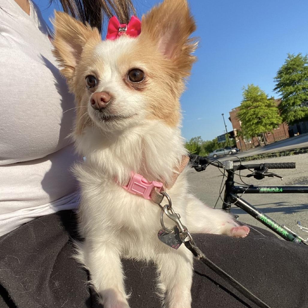 Rini — thumbnail 5