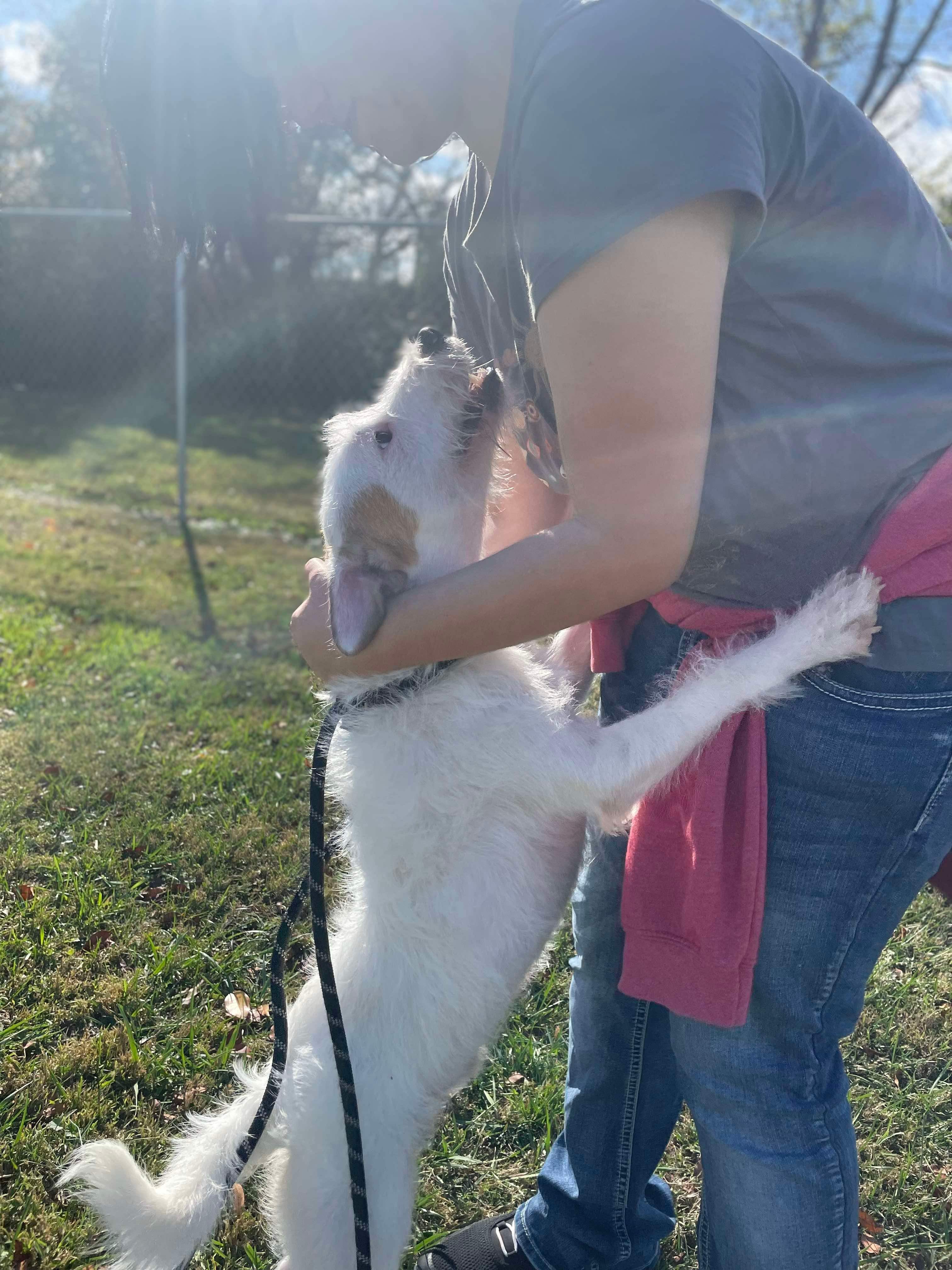 Cesar (formerly Poindexter)