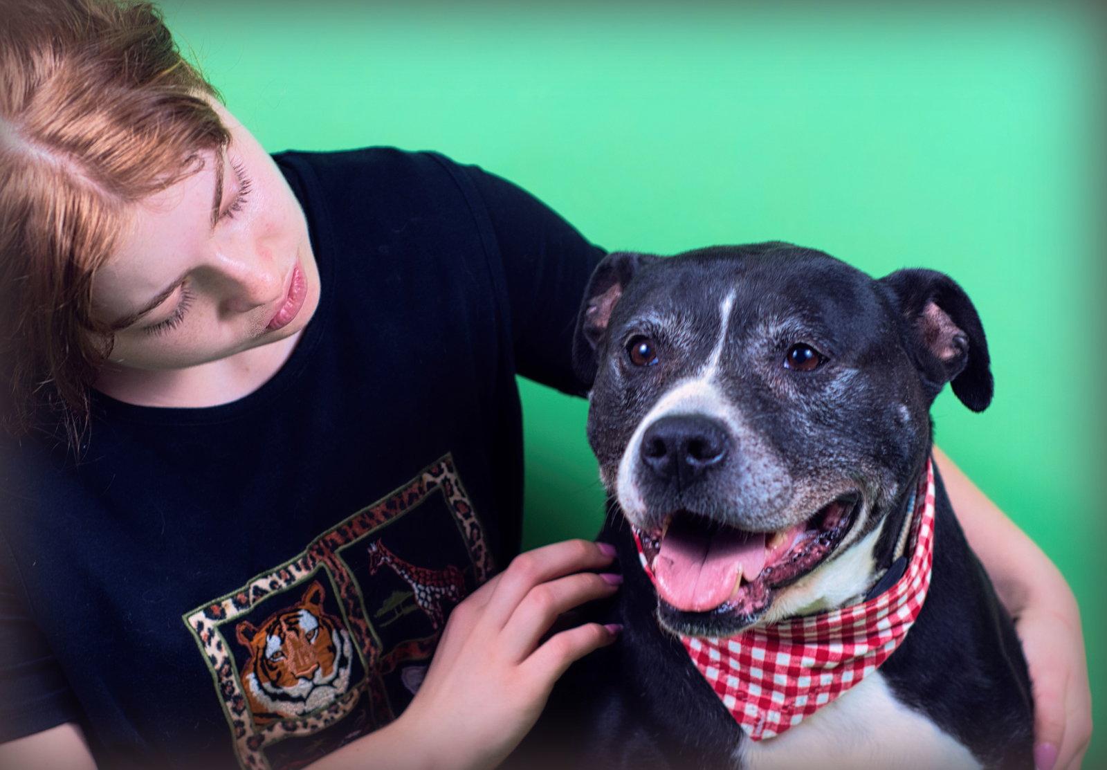 Enlarge Farley, a Adoptable mixed breed in Holly Springs, MS image 1/3