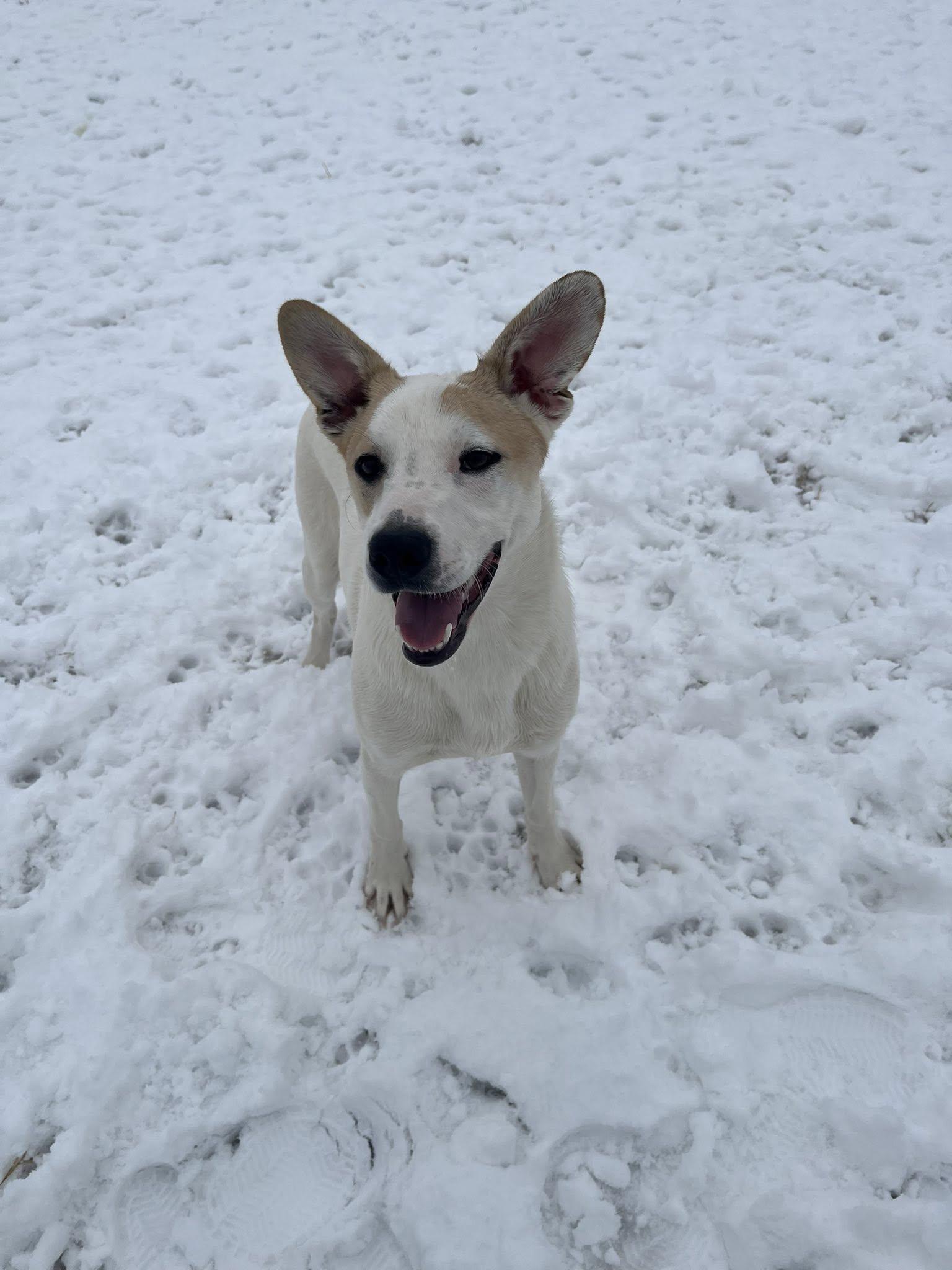 Richard Weber thumbnail 2