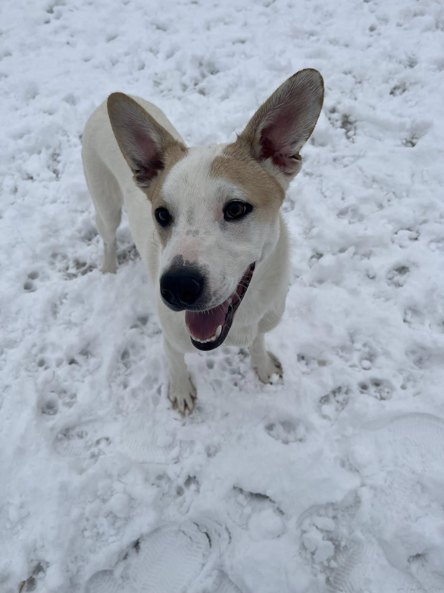 Richard Weber thumbnail 4