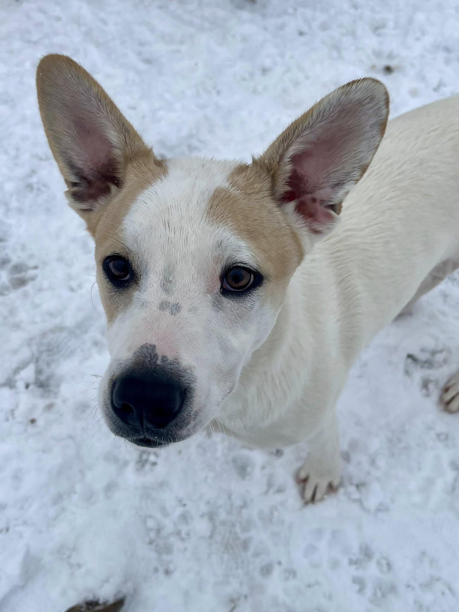 Richard Weber thumbnail 5