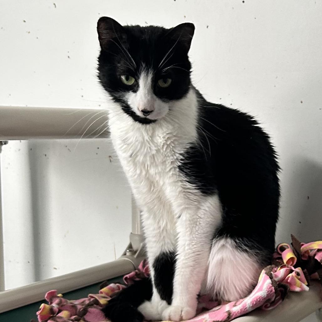 Beans — thumbnail 2