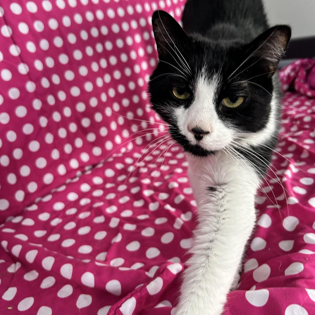 Beans — thumbnail 4