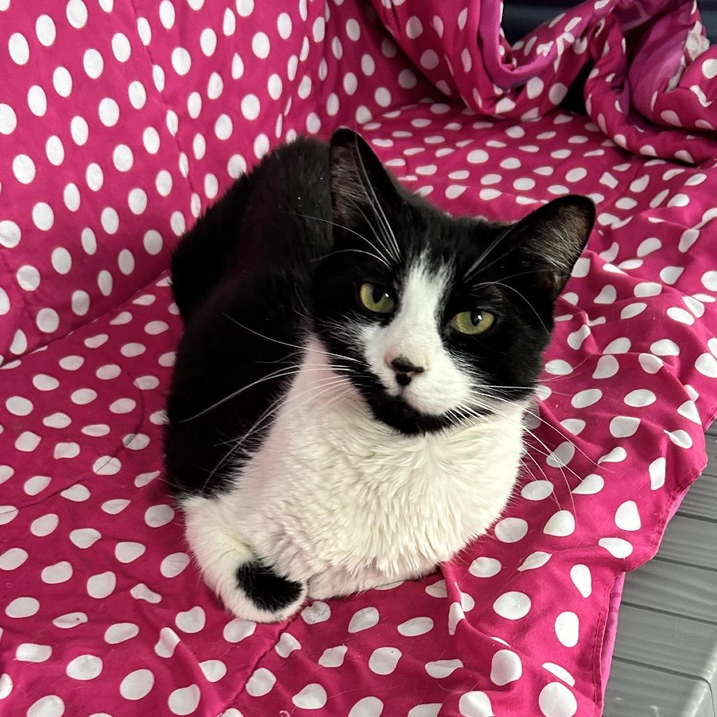 Beans — thumbnail 5