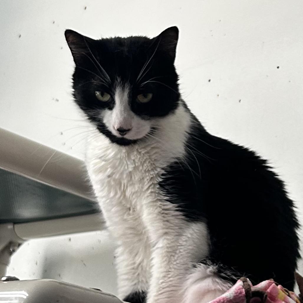 Beans — thumbnail 6