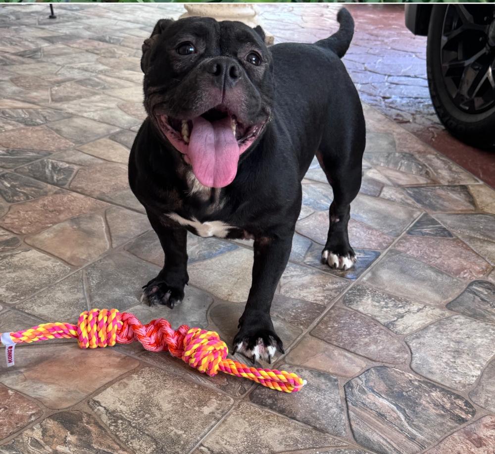 Gorda Fiona  Florida thumbnail 5