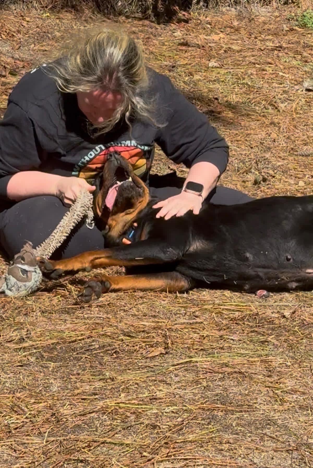 Enlarge Maggie Mae, an adopted mixed breed in North Augusta, SC image 3/5