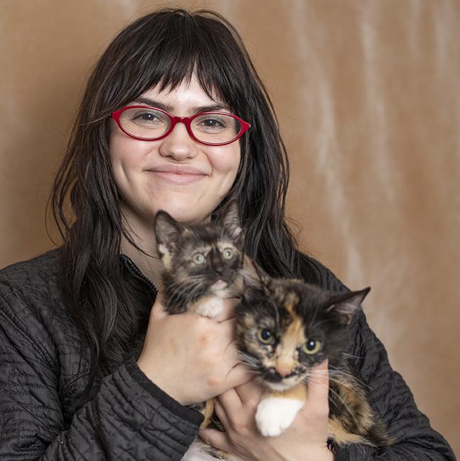 Enlarge Celine & Mira, a ADOPTABLE Tortoiseshell in Chicago, IL image 2/6