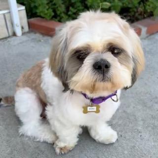 OBIE photo 3