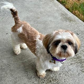 OBIE photo 2
