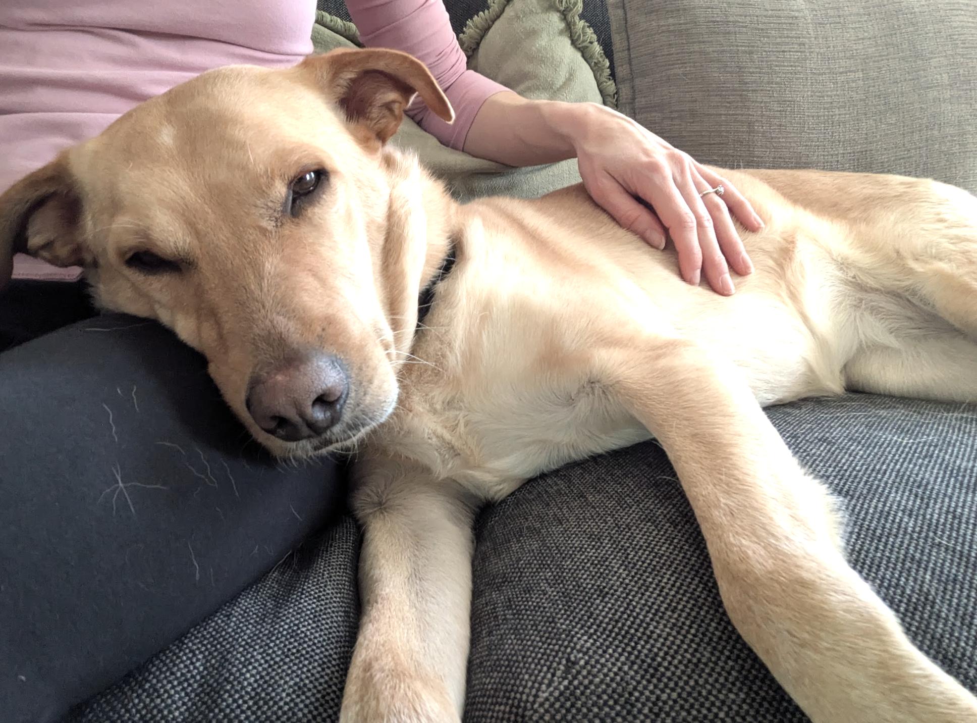 Bonita — thumbnail 2