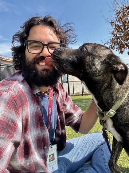 Enlarge Sue Baroo, a Adoptable mixed breed in Wichita, KS image 2/3