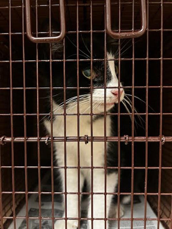 Becky — thumbnail 2