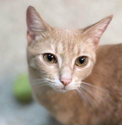 Ziggy — thumbnail 2