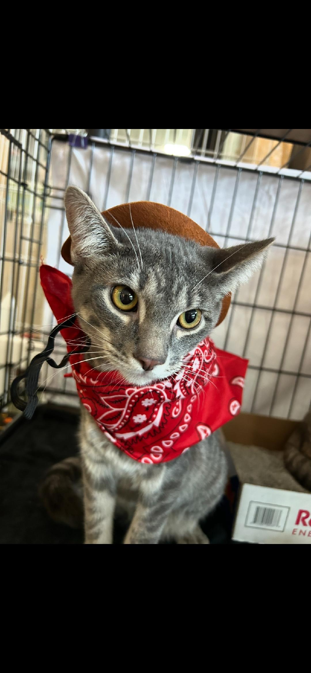 Sugar Pie and Honey Bunch