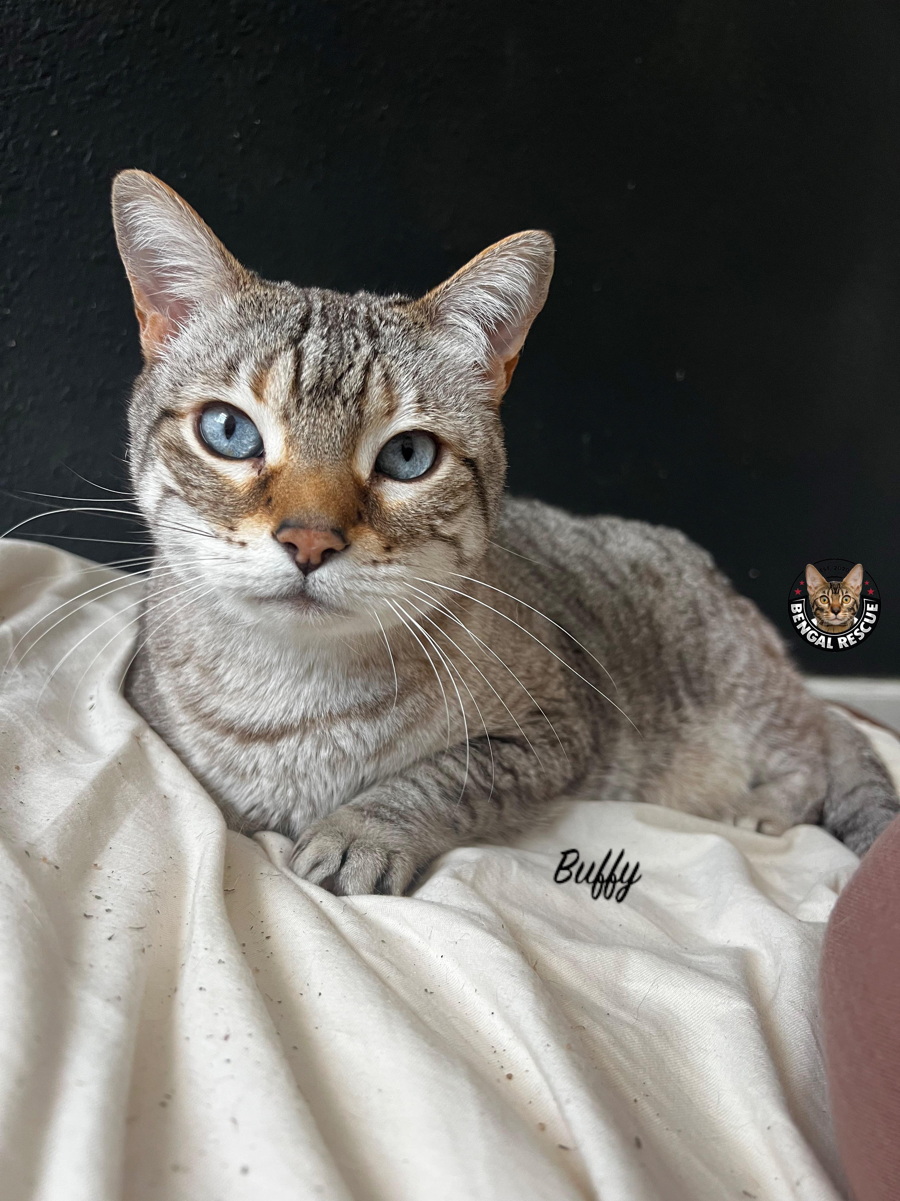 Buffy (Female)
