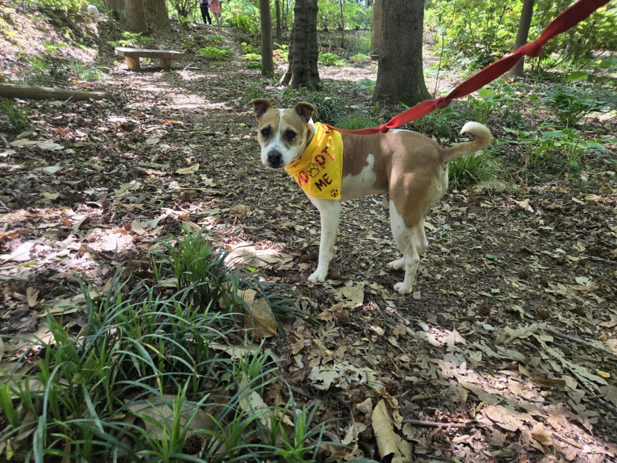 Tyson photo 2