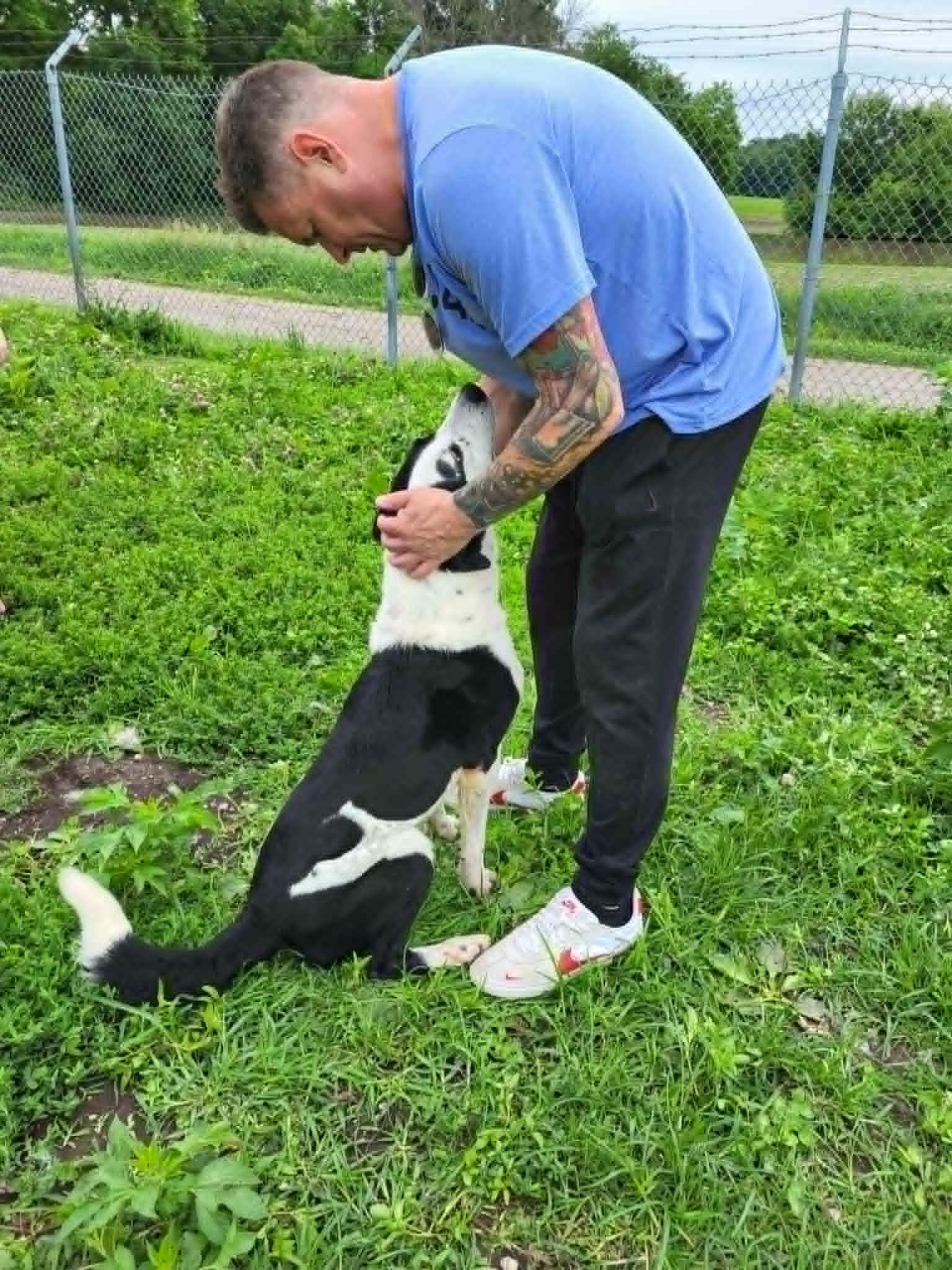 Trail, a Adoptable mixed breed in Kansas City, MO image 4/6
