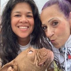 YODA, a Adoptable mixed breed in Indiantown, FL image 2/6