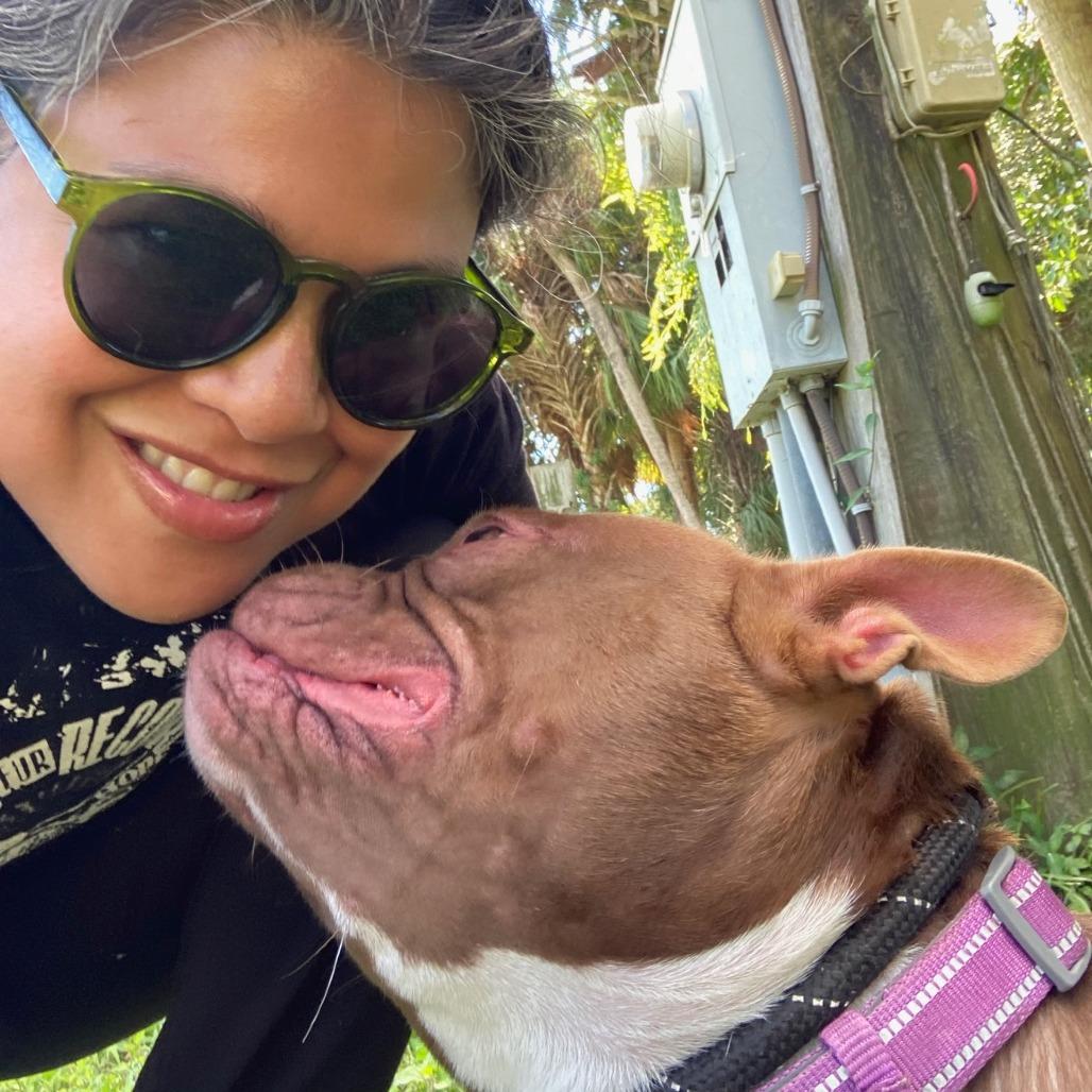 Enlarge YODA, a Adoptable mixed breed in Indiantown, FL image 2/6