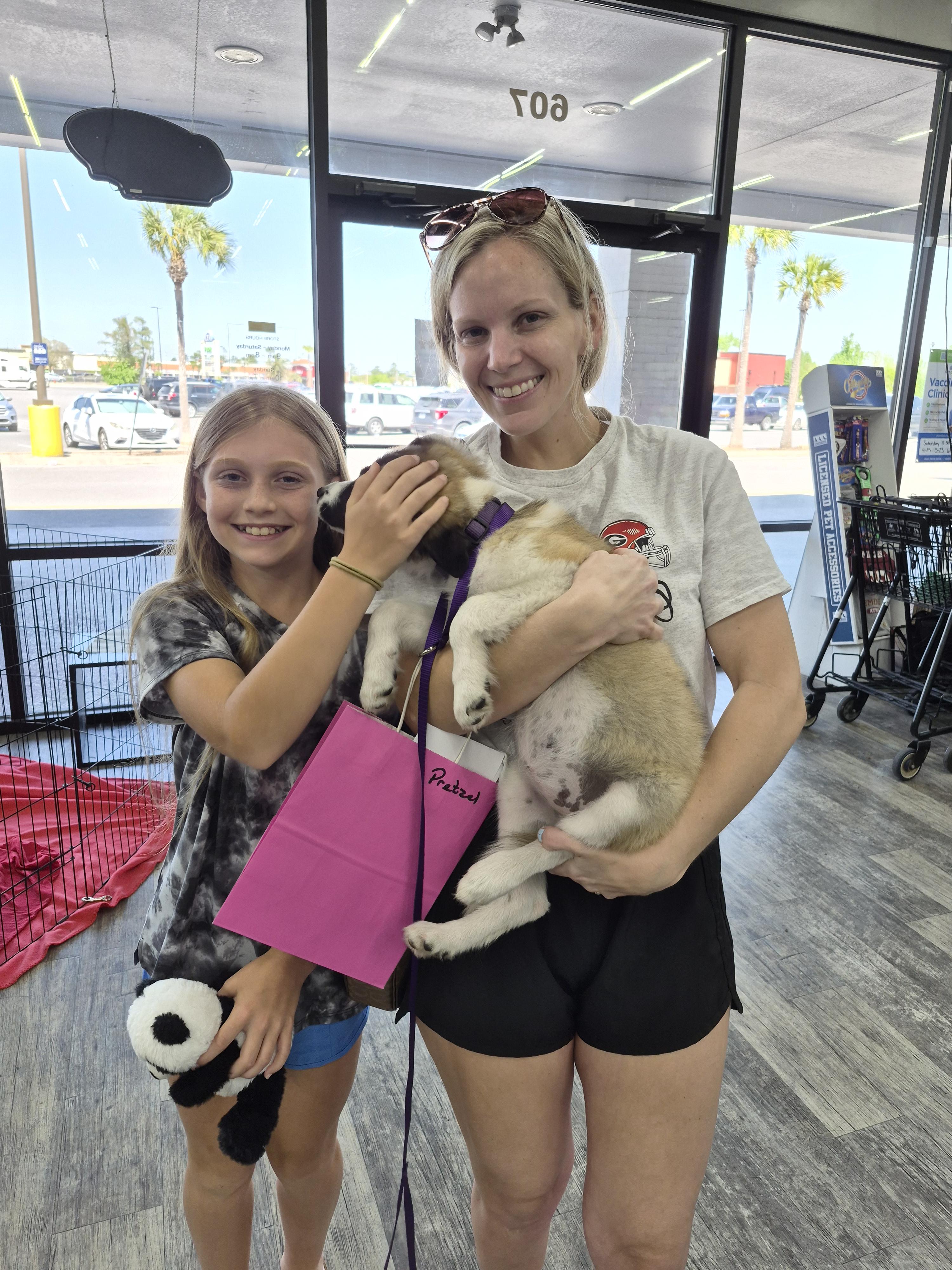 Enlarge Pretzel, a Adopted Great Pyrenees in Panama City, FL image 1/5