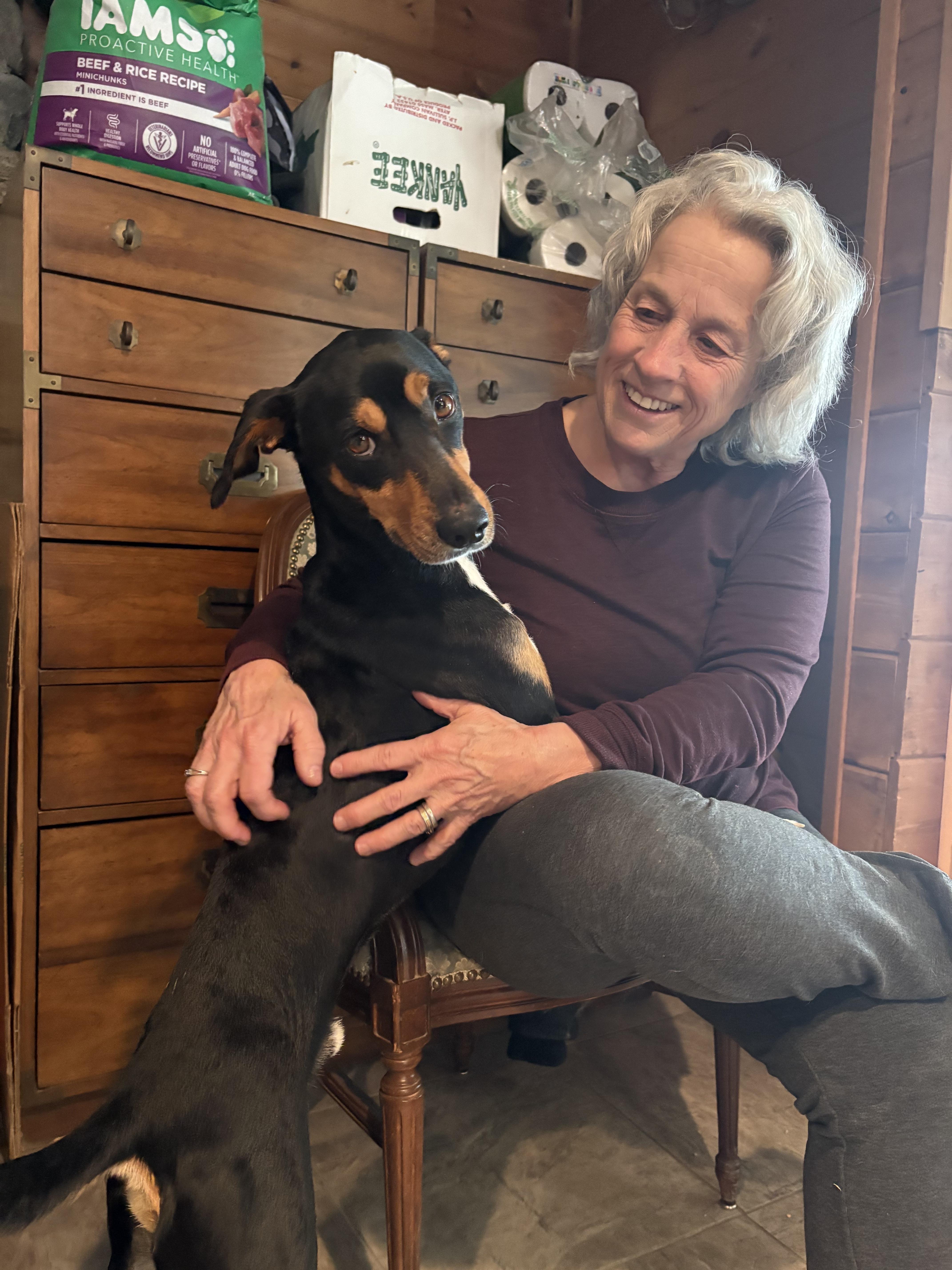 Enlarge Dylan, a ADOPTABLE mixed breed in Weare, NH image 4/5