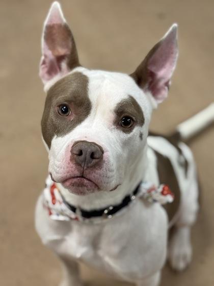 Dimitri (Slurpee) — thumbnail 2