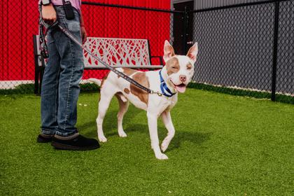 Dimitri (Slurpee) — thumbnail 3