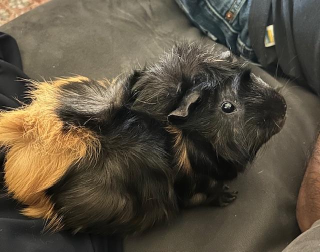 Bruno & Edgar photo 6