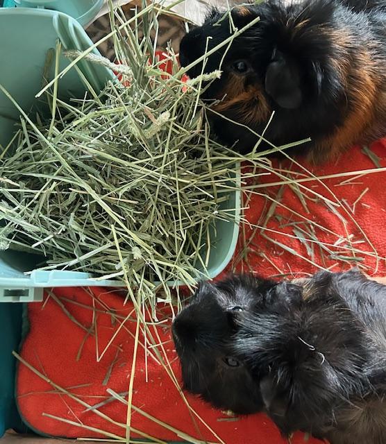 Bruno & Edgar