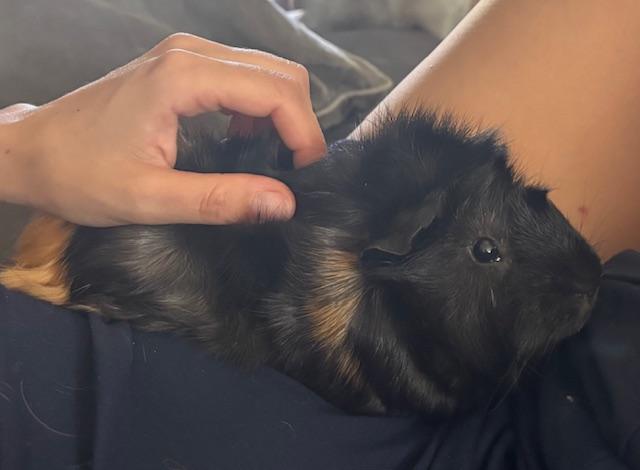 Bruno & Edgar photo 5