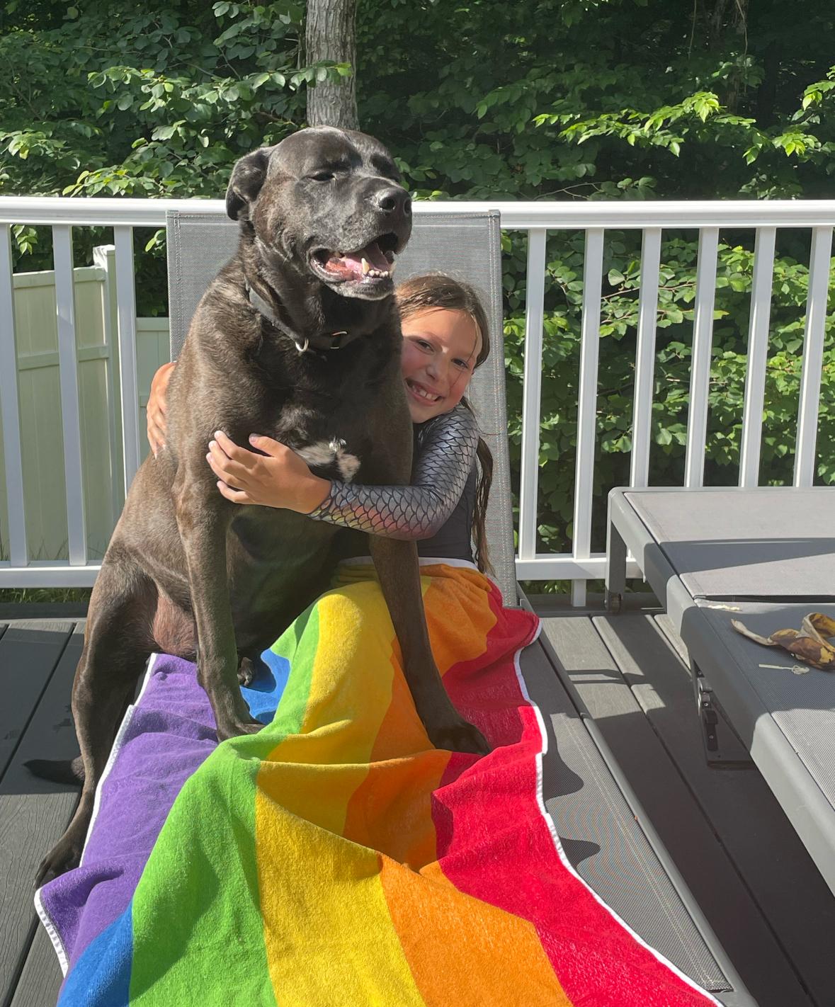 Enlarge Dozer & Minni, a ADOPTABLE mixed breed in New Boston, NH image 2/4