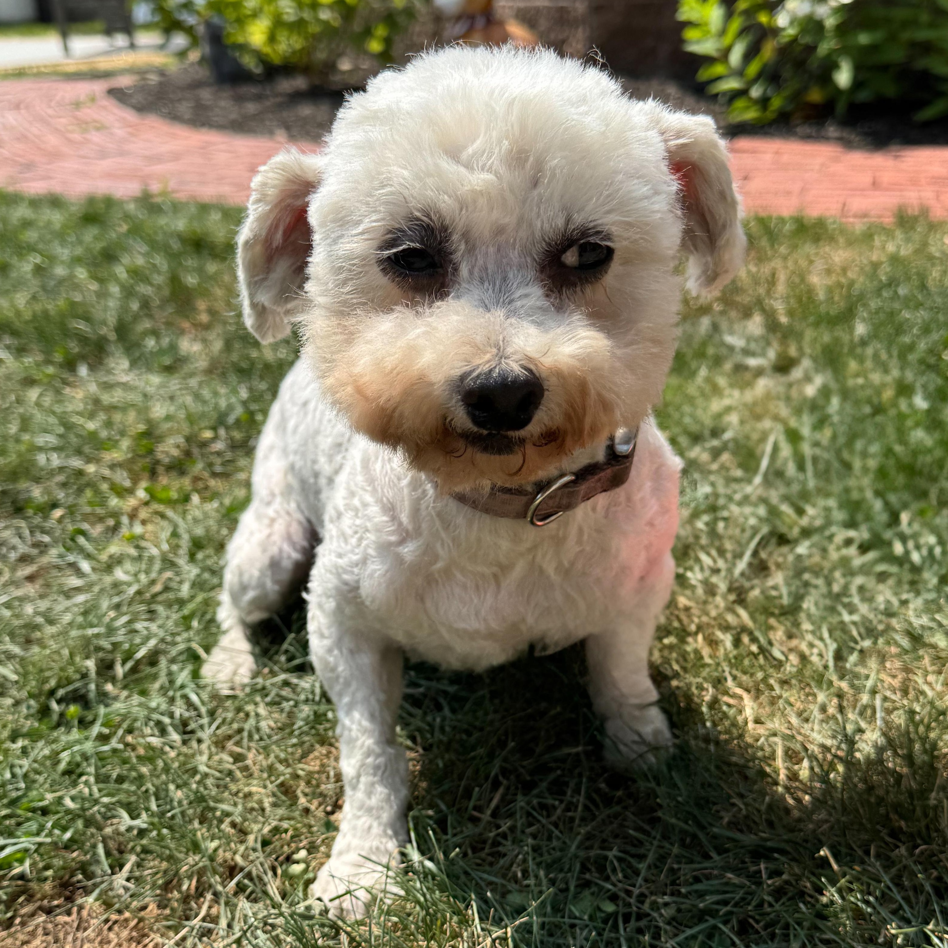 Igloo, Senior Female unknown