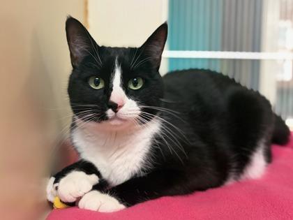 Pouch — thumbnail 2