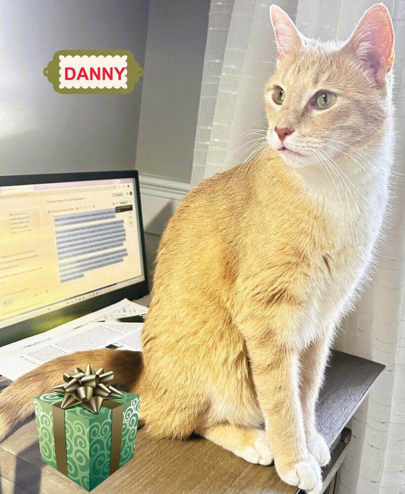 Enlarge Danny, a Adoptable mixed breed in Mooresville, NC image 4/6