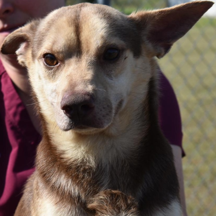 Coco Chanel thumbnail 2