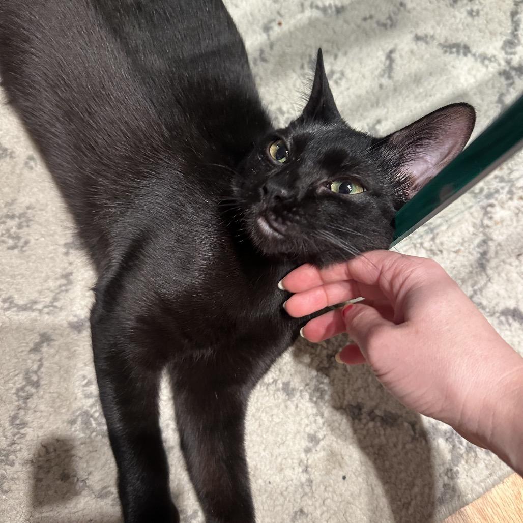 Mike Wazowski — thumbnail 2