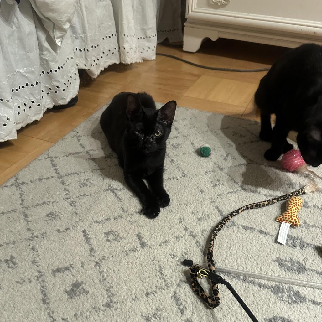 Mike Wazowski — thumbnail 3