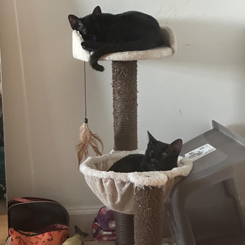 Mike Wazowski — thumbnail 4