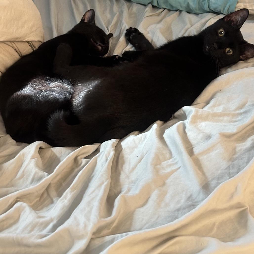 Mike Wazowski — thumbnail 5